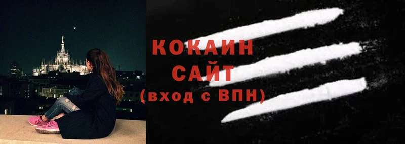 купить наркотики цена  Костомукша  Cocaine 99% 